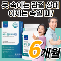 메가 콘드로이친 큰드로이친 콘드로이칭 콘트로이친 콘드로이틴 콘드로친 콘드리친 무릎 무룹 어깨 허리 손목 관절 연골발목 노인 주부 직장인 중장년층 중년층 장년층 노령자 노령인 보조제, 360정(6개월분)