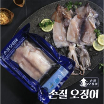 Dream어부 손질 오징어 27미