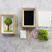 DIY스칸디아모스로 나무만들기 키트(사각 액자) DIY 공기정화식물 천연이끼, 스프링그린