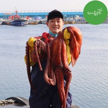 최고다농수산 동해 피문어 참문어 살아있는 활 대왕문어다리 제수용문어 산지직송, 손질자숙피문어 통다리, 손질자숙피문어통다리 특대 (1.8kg내외), 1개