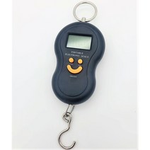 런커헌터스 휴대용 전자 낚시 저울, 1개