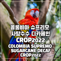 (커피생두) 140 콜롬비아 엑셀소 사탕수수 EA 디카페인-CROP2022 500g