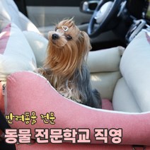 리토가토 스마트 강아지 카시트 (레드 / 커버분리형) 순면 방수 - 반려동물 학교, 그레이 (안전고리2개 set)