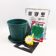 [바보사랑] 미미네가든 초보 부추 키우기 6종 세트, 상세 설명 참조