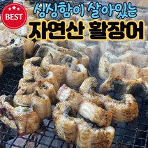 (최상품) 바다장어 통영 자연산 손질 바다 장어 활장어 구이용, (3) 통영 활장어(특대)