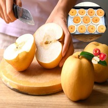 프리미엄 명품 배 선물세트 추석, 상_7.5kg (8~12과)