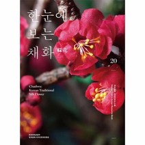 한눈에보는채화 20 우리공예디자인리소스북, 상품명