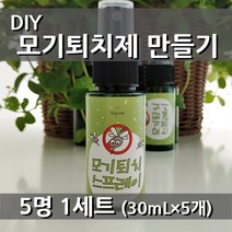 [더위치] 더위치 DIY 천연 모기퇴치제 만들기 5인세트 모기 퇴치 스프레이
