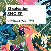 [레베떼커피] 엘살바도르 SHG EP 500g, 상세설명 참조, 없음