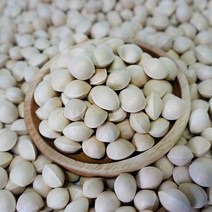 재래종 토종은행2kg 청한농장, 10kg