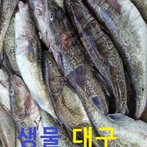 (쌍다리상회) 생물 대구 생대구 소 3-10마리 3kg이상 6-10인용, 생대구 통마리 3-10마3kg 6-10인용