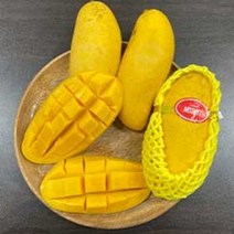 프리미엄 태국망고 선물세트 대과 9입 10입/무지개망고/골드망고/코끼리망고/애플망고/남독마이/마하녹차