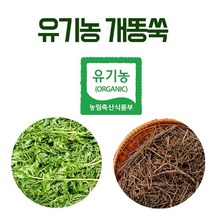 해피스토어70 국내산 말린 유기농 개똥쑥 300g (건조 개똥쑥차), 900g