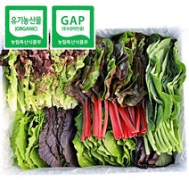 친환경 최상급 유럽 샐러드 채소 1kg 모듬쌈 야채 6종 신선의자신감, 유럽 샐러드 1kg(3~6종)특품