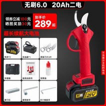 전동가위 만능가위 연장대 전지가위 본체 가지치기 철판재단 고지 전정가위 디월트 충전식, H