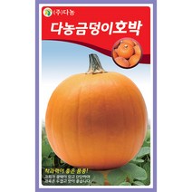 미국장원슈퍼호박 씨앗 5립 호박 호박씨 호박씨앗 채소씨 야채씨 채소씨앗 야채씨앗 재배, 01_다농_다농금덩이호박(30립)