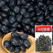 BK서리태콩 씨앗 (30g) 채소씨앗 야채씨앗 완두콩씨앗, 본상품