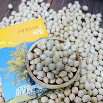 22년 토종 햇은행 5kg 보령은행 은행마을, 1개