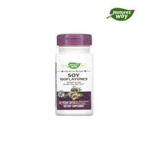 네이쳐스웨이 소이 이소플라본 100mg 비건 캡슐, 60개입, 1개, 60정