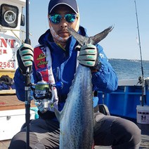 다이와 프로슈터 로드 (18) 스피닝 모든 바다루어대 광어 우럭 부시리 대방어 농어 문어 대삼치 루어낚시대 셀트워터 바다낚시대, 802MS