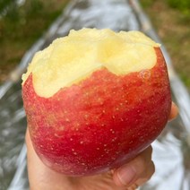 [은주네농원]못난이 흠집사과 10kg 경북사과 의성사과, 의성 못난이사과 10kg 대과(26과 이내)