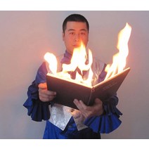 불에서 비둘기 책 불 마술 무대 마술 트릭 소품 전문 마술사 마술사 착시, default