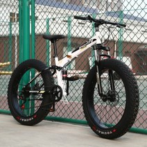 접이식 팻바이크 mtb 바퀴큰자전거 풀샥 폴딩 광폭타이어 펫바이크 엠티비 고성능, 24단_옵션07 | 20 인치