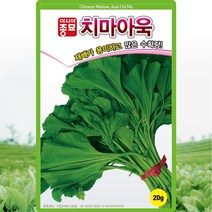 치마아욱 씨앗 아욱 씨 종자 20g, 1개