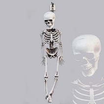 할로윈 파티소품 리얼한 입체 해골모형
