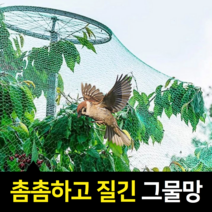 촘촘한 새망 새그물망 새그물 하우스농자재 녹색 2x10m