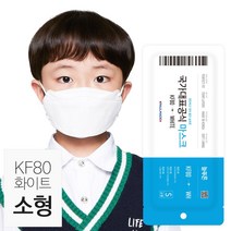 늘푸른황사마스크(KF80)(소형), 50매, 1개, 화이트