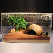 넛 은신처 구피 새우 가재 물고기 키우기 베타 알비노플레드 체리 관상용 생이 하프문