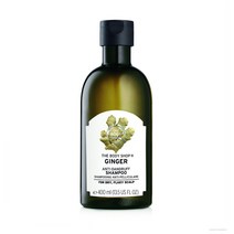 The Body Shop Ginger Scalp Care Shampoo 더바디샵 진저 스캘프 케어 샴푸 13.5oz(400ml)