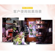 화훼단지 수경재배 식물조명 성장등 LED 식물등 집에서할수있는취미 햇빛 식내공기정화식물 야채 다육 다육이키우는법 취미키트, 24w-태양광모사-금속송신호스탠드