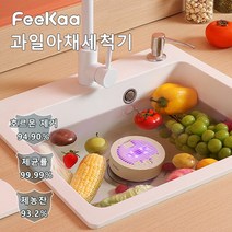 과일아채 세척기 가정용, FK-Q3