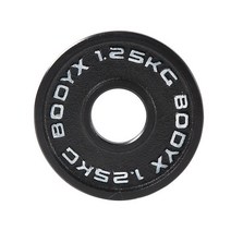 바디엑스 바디엑스 [낱개] 케이언 중량원판 1.25kg 홀 50mm 주물 아이언, 단일옵션