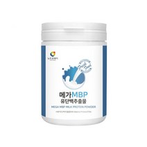 비보 가수분해 유청단백질 WPH 분리유청 단백질보충제 280g