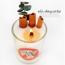 올데이 (KC인증)시나몬 모기퇴치 소이캔들100ml, 1개, 시나몬