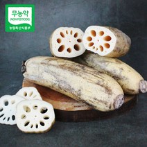 무농약세척연근 가성비 좋은 제품 중 판매량 1위 상품 소개