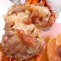 짜지 않는 간장게장 맛집 홈쇼핑 홍게장 순살 게장 꽃게장 홍게, 1팩 x 900g