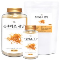 동충하초 분말(국산) 모음 눈꽃 동충하초 가루 차, 동충하초 분말[국산] 300g