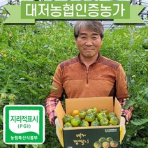 [김순용농부]대저짭짤이토마토 2.5kg 산지직송, M(중과)-2.5kg