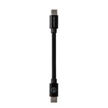 래드손 USB C to C 타입 OTG 케이블 10cm, 1개