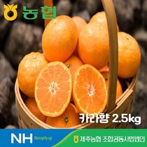 [제주농협] 귤로장생 카라향 2.5kg (과당 150~200g / 13~17과), 단품
