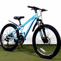 2021 지오닉스 첼린저 JMD24 주니어 초등학생 24인치 어린이자전거, 무광 오렌지