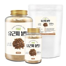 드랍쉽 유근피 분말(국산) 모음 느릅나무뿌리껍질, 유근피 분말[국산] 200g[통]