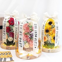 개별문구 미니화환 스페셜데이 유리돔 개업 승진 축하 이사 부모님 생신 선물, 핑크카네이션미니화환유리돔, 5번문구