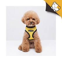 리얼펫 나인티모 하네스, 블루