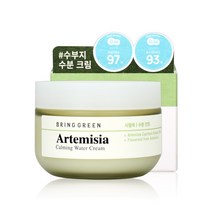 브링그린 사철쑥 카밍 수분크림 75ml, 단품, 단품