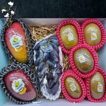 프리미엄 명절과일 추석 과일세트 블랙사파이어포도 애플망고 골드키위 고급혼합과일세트 3.5kg 이내, 애플망고2수 골드키위5수 블랙사파이어포도1수